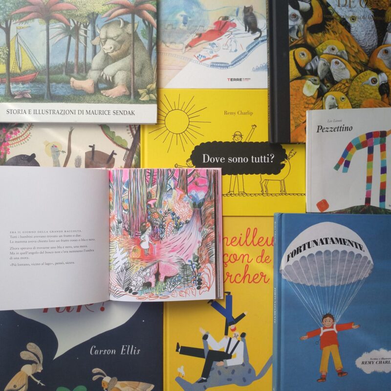 CAPIRE COME FUNZIONA L’ALBUM ILLUSTRATO – tredicesima edizione!