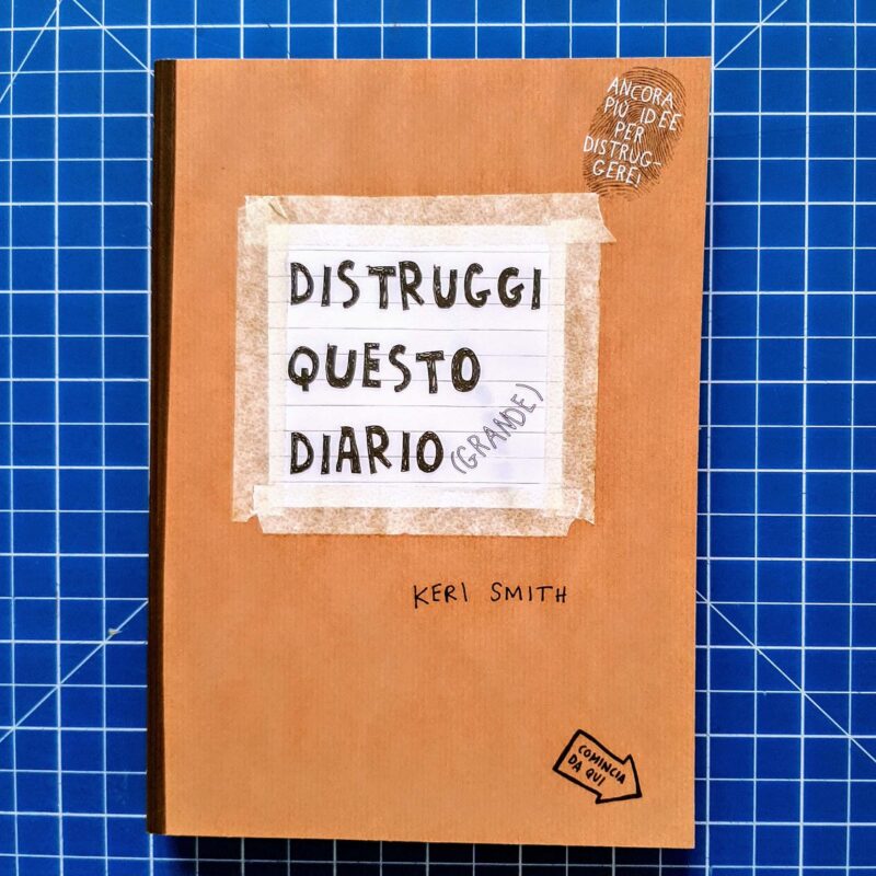 Distruggi questo diario (grande)