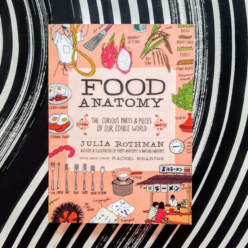 Food Anatomy