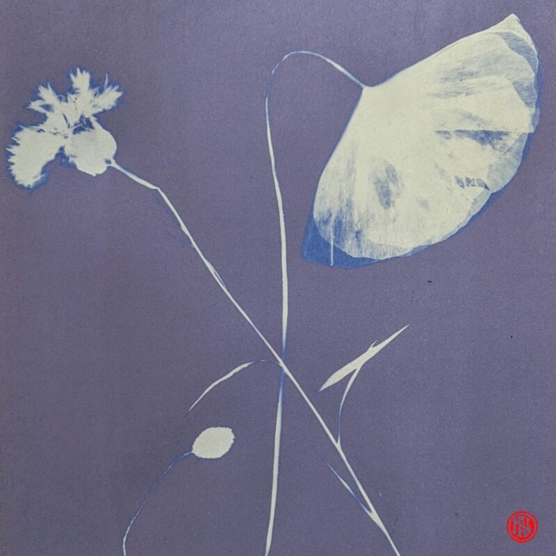 FOTO-COPIE BLU DI PRUSSIA – ESPERIMENTI DI CIANOTIPIA – terza edizione!