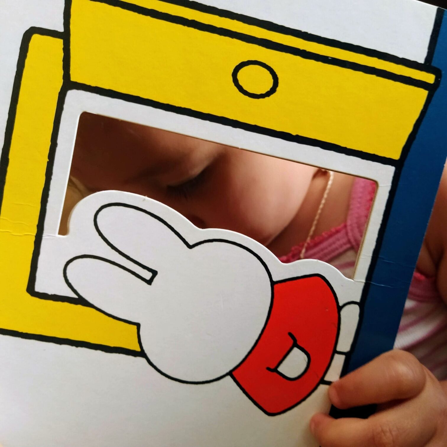 IL LIBRO GIOCO