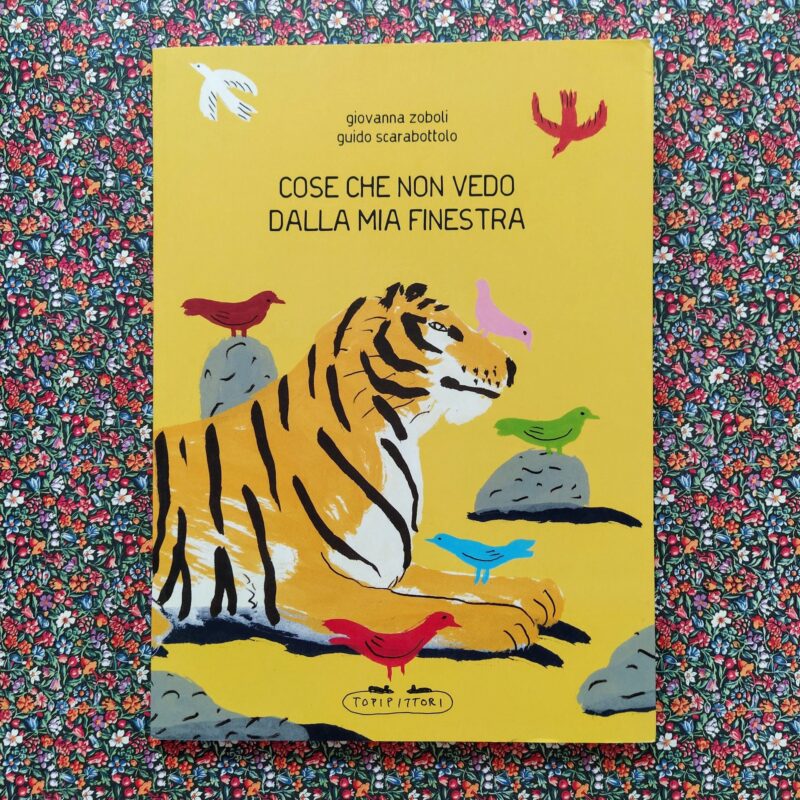 Cose che non vedo dalla mia finestra