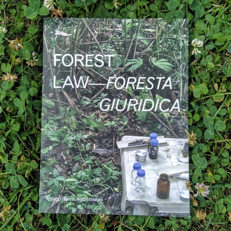 Forest law – Foresta giuridica