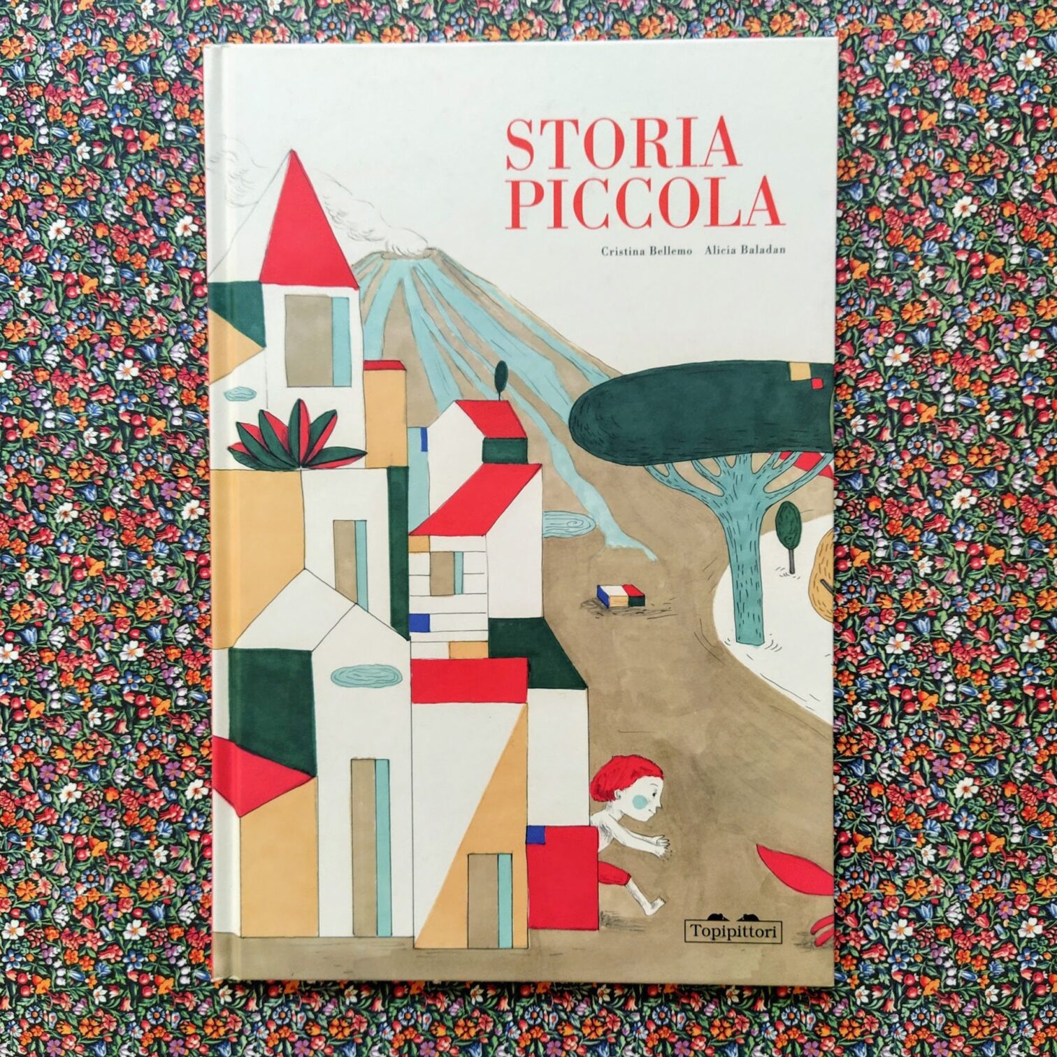 Storia piccola