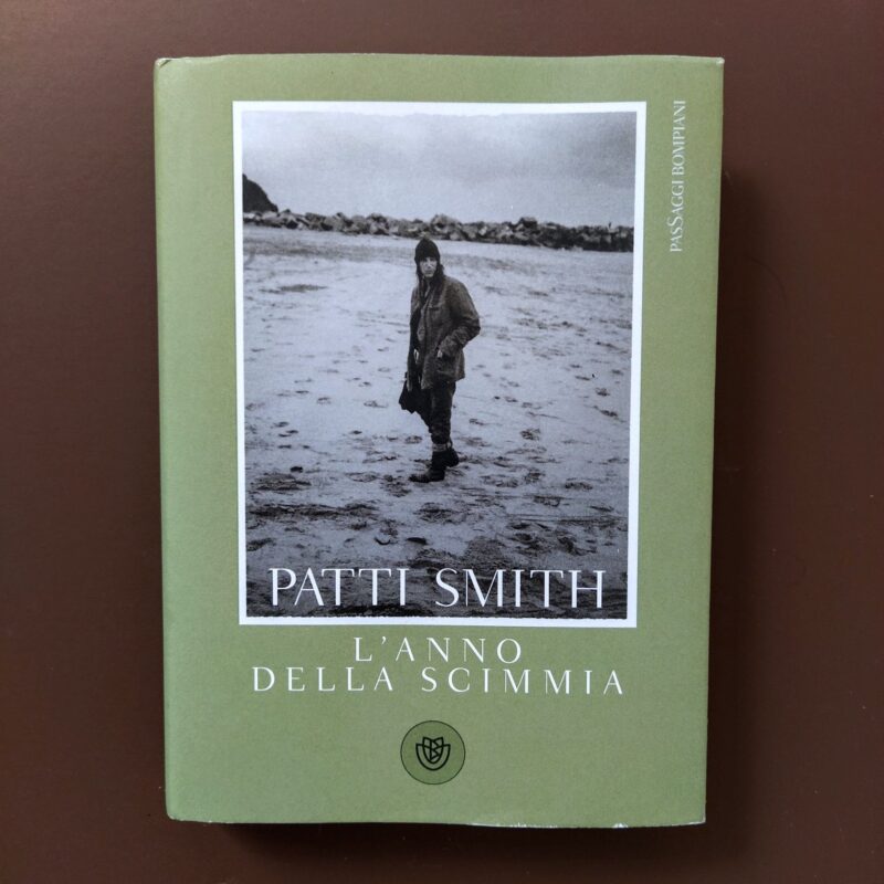 L’anno della scimmia