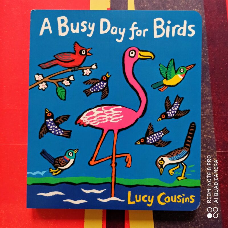 A busy day for birds