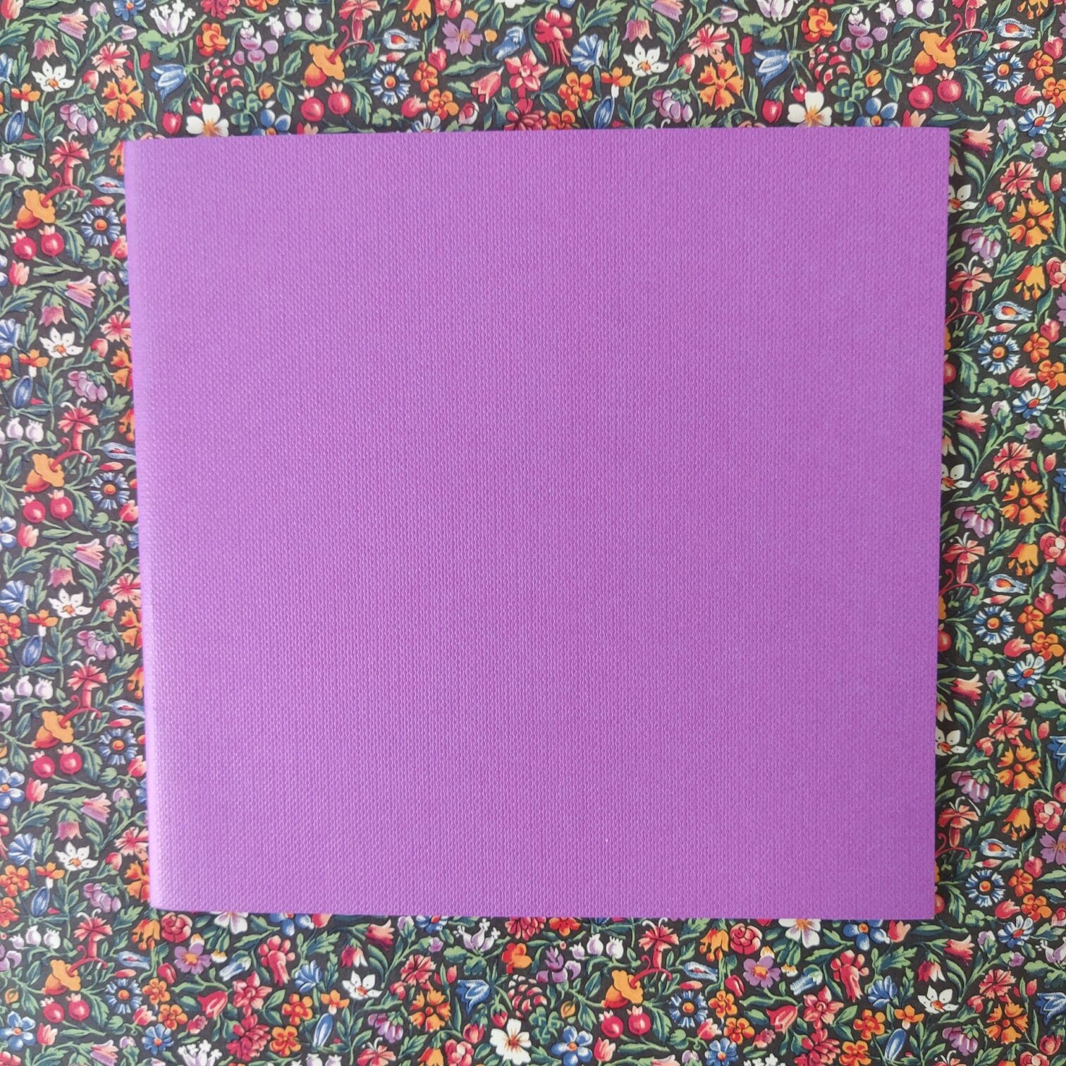 Colors