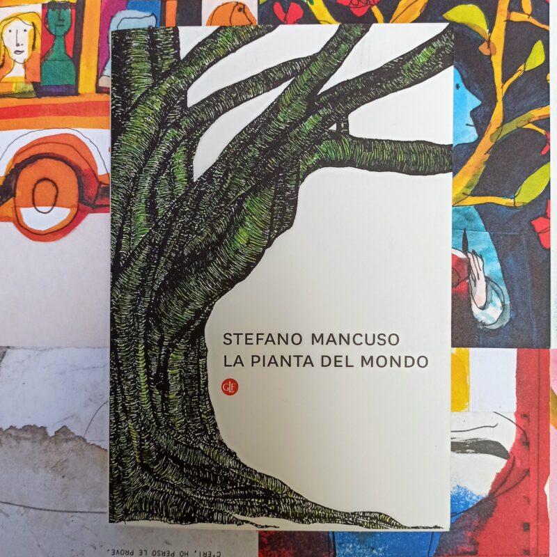 La pianta del mondo