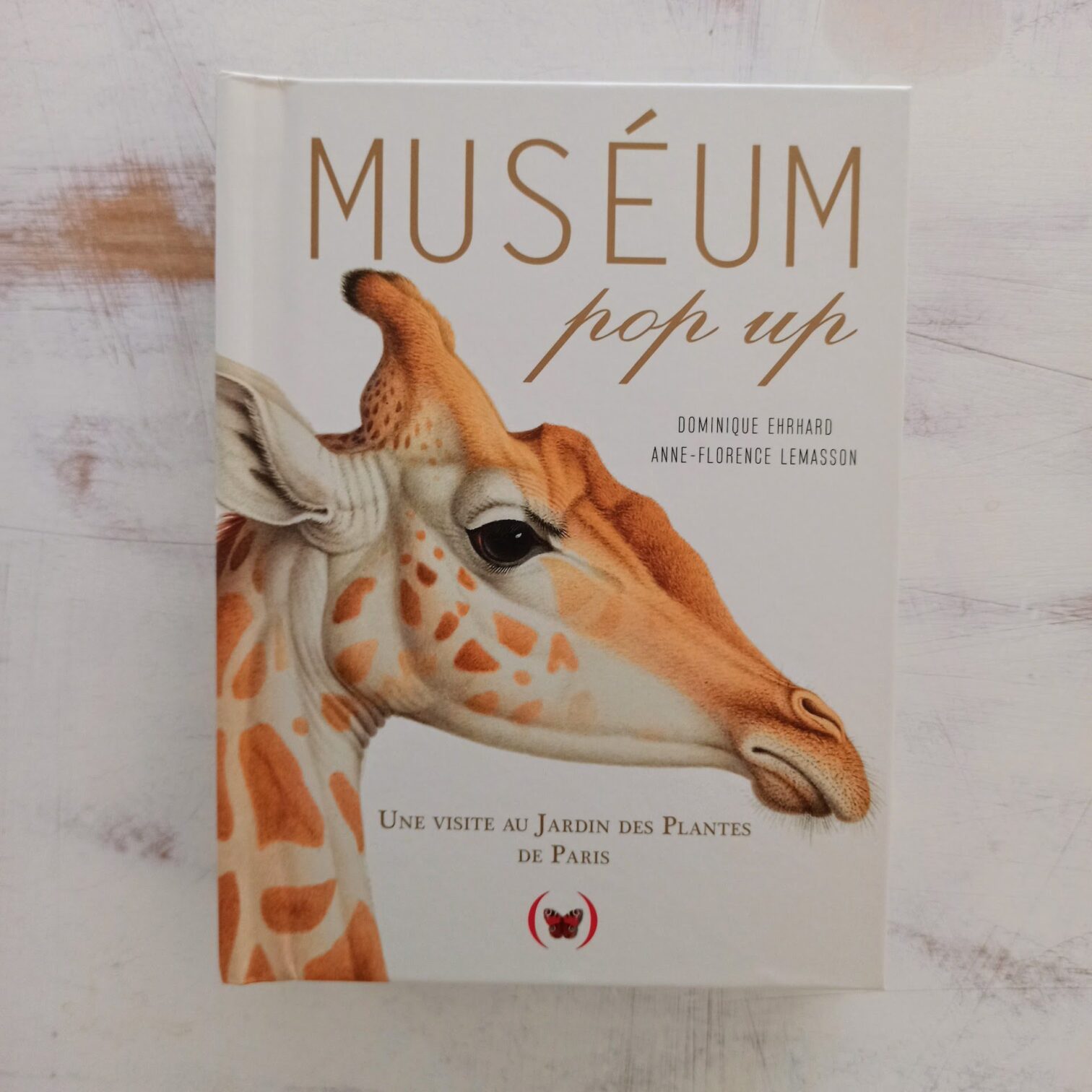 Museum pop-up