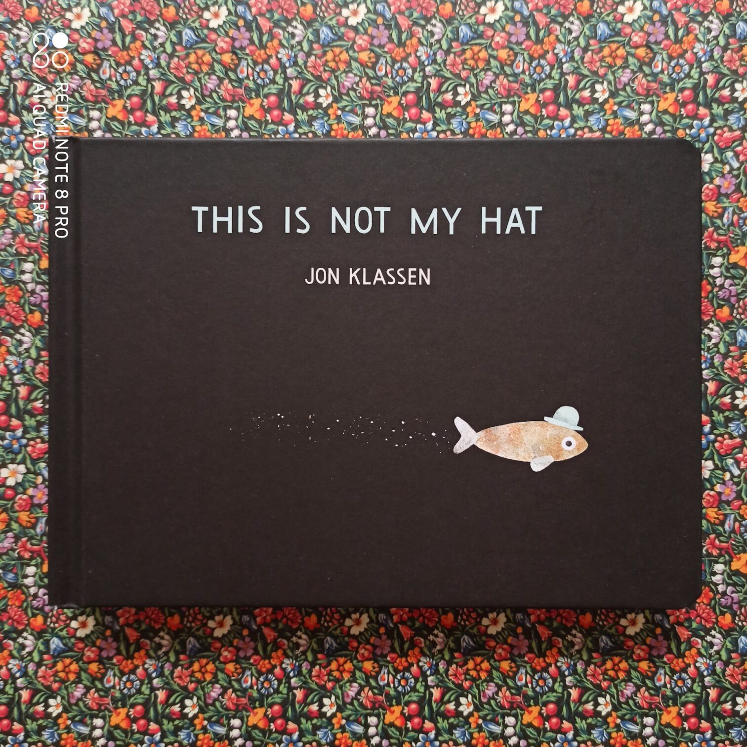 This is not my hat