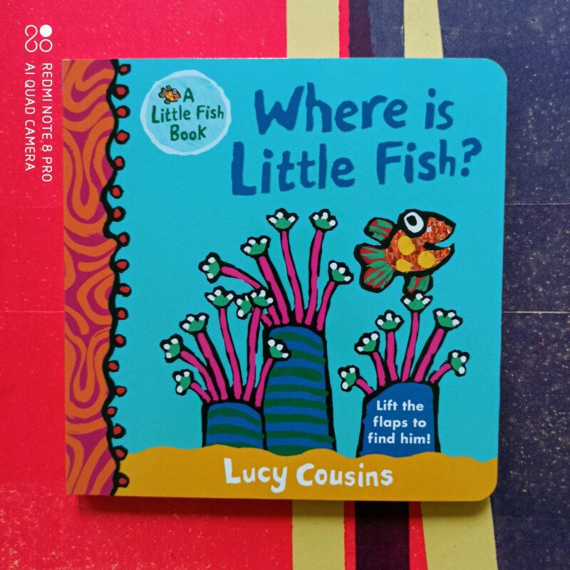 Where is little fish?