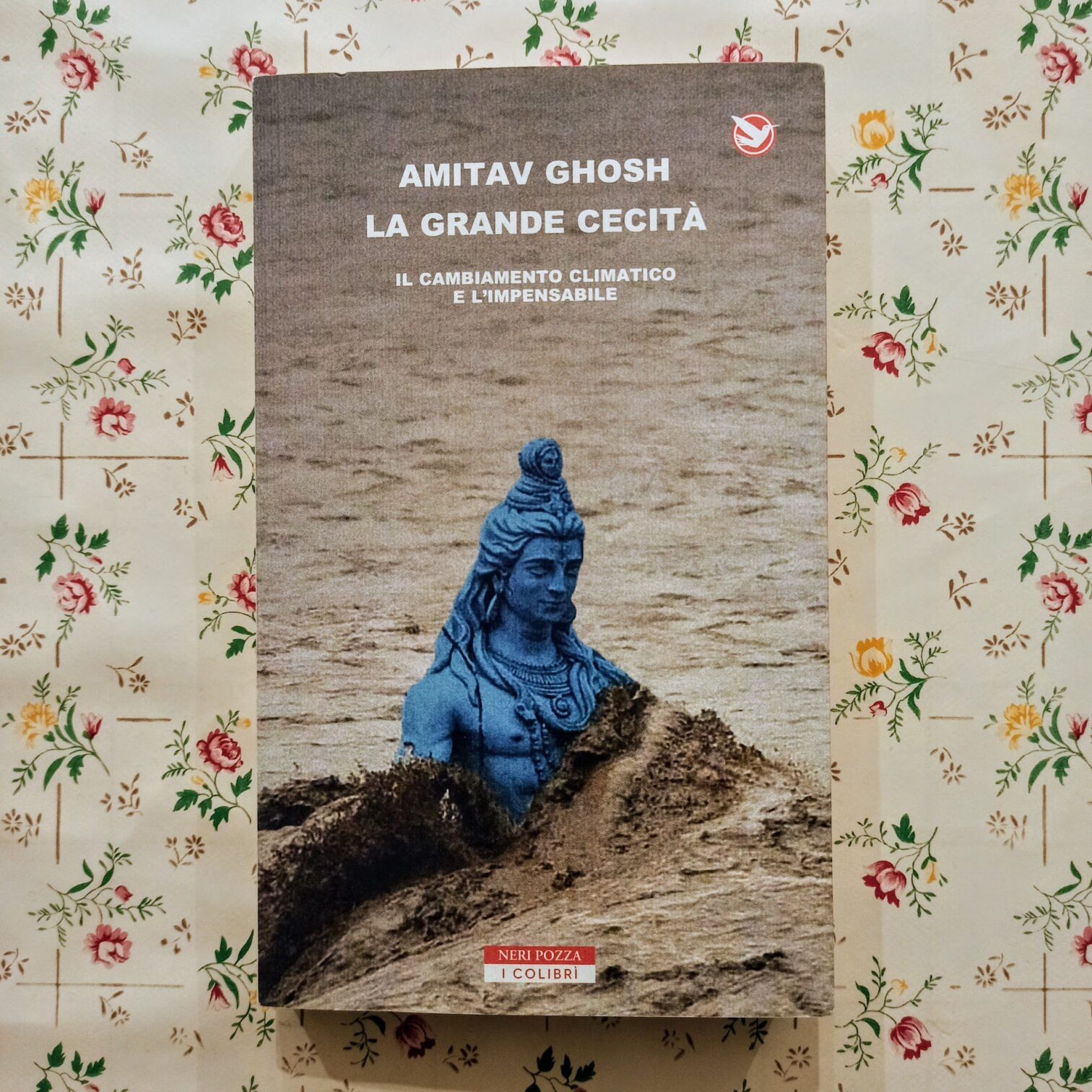 La grande cecità