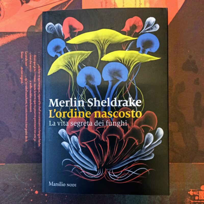 L’ordine nascosto