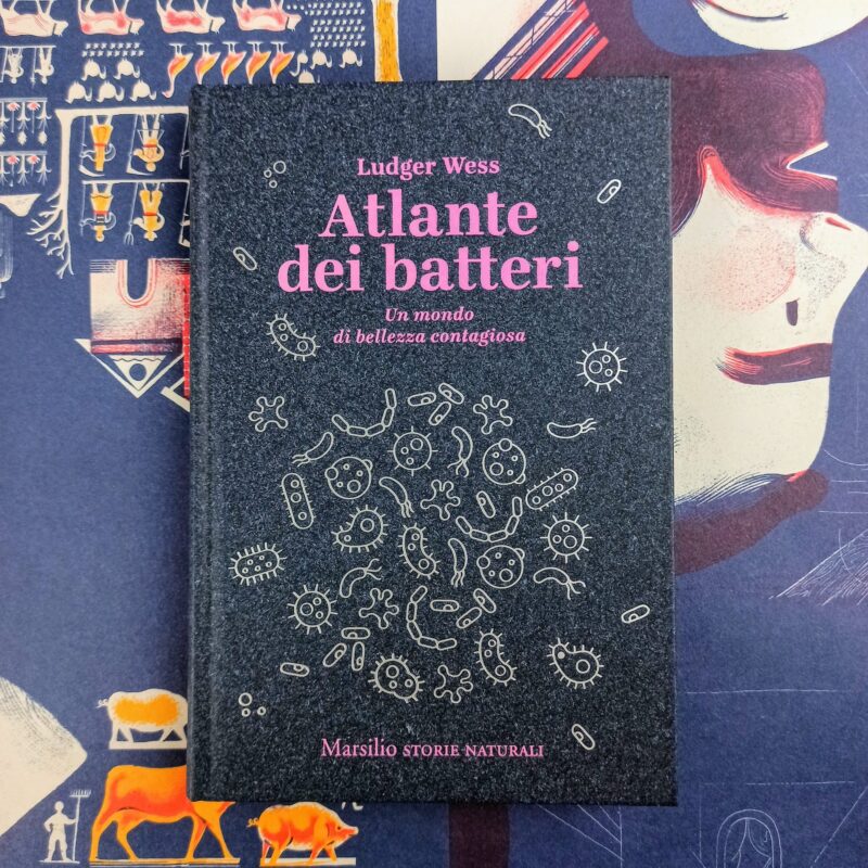 Atlante dei batteri