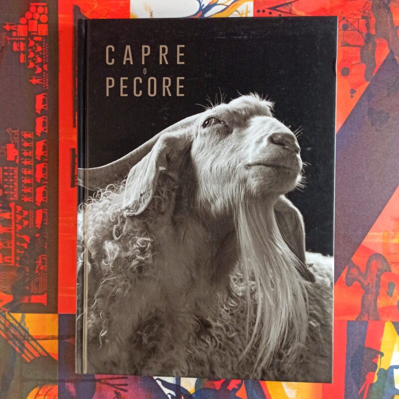 Capre o pecore