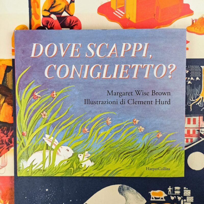Dove scappi coniglietto
