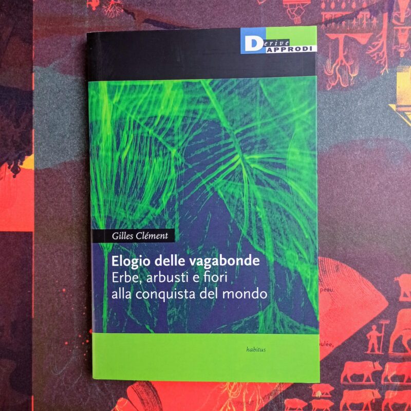 Elogio delle vagabonde