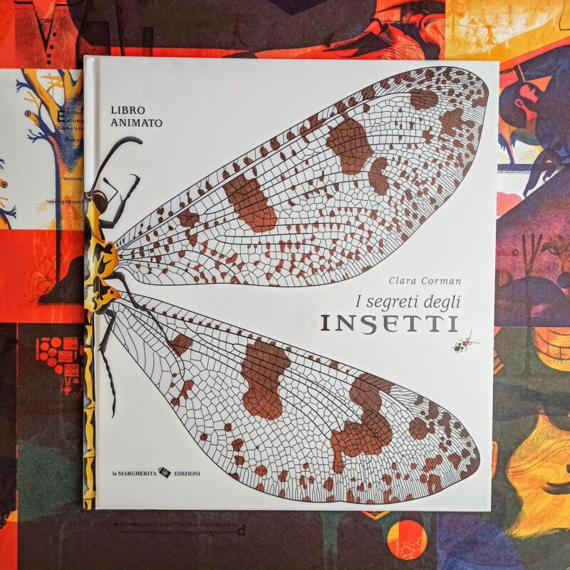 I segreti degli insetti