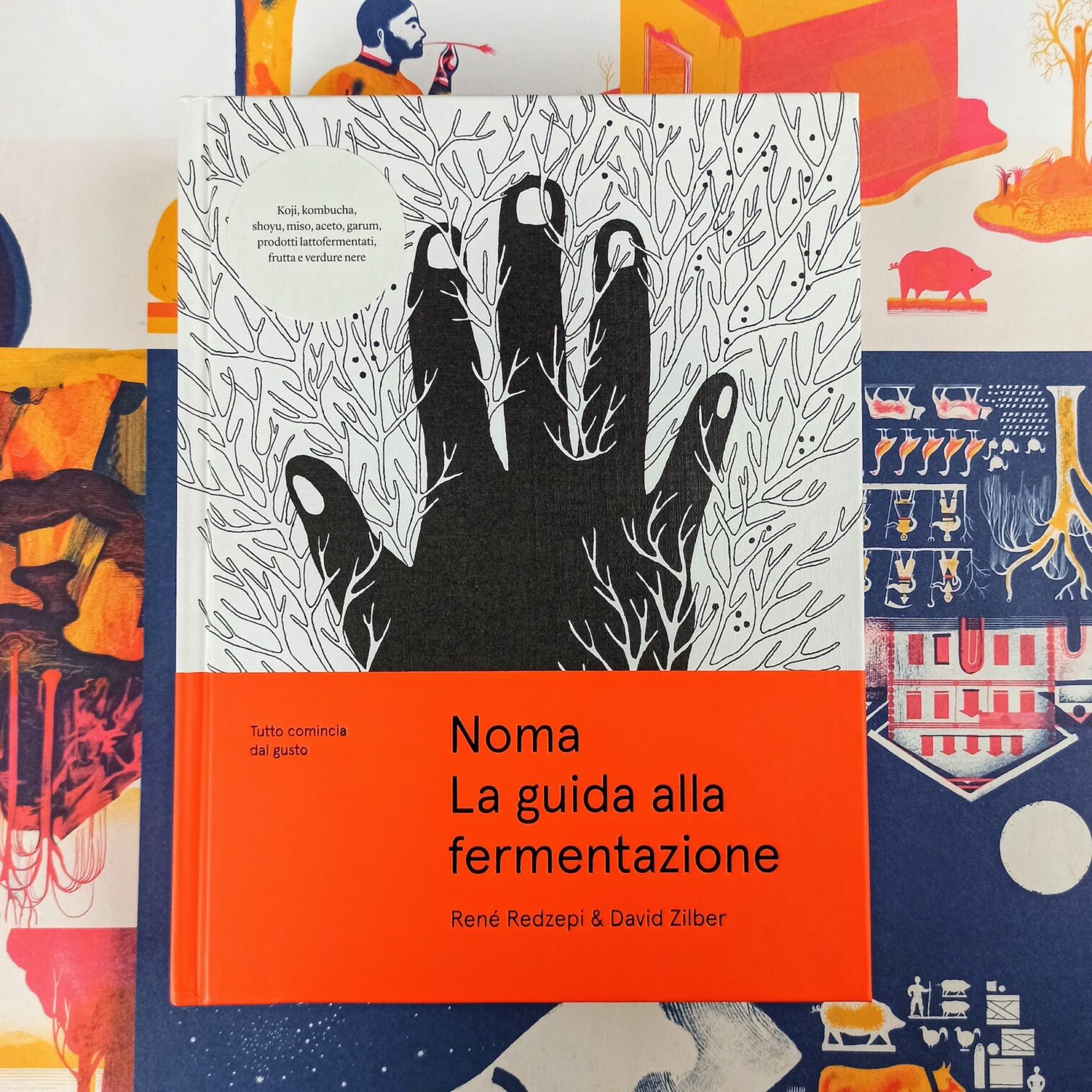 Noma. Guida alla fermentazione