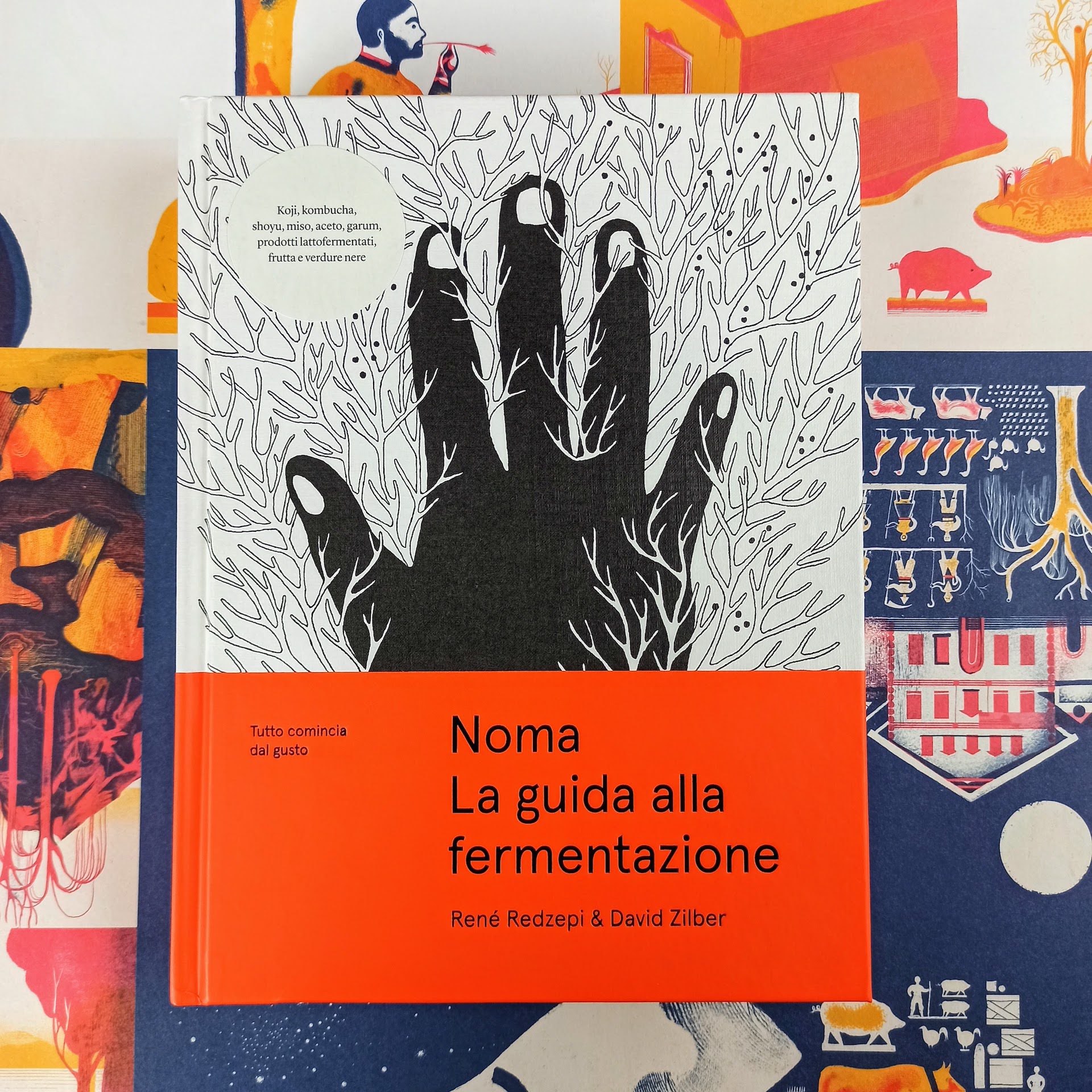 Noma. Guida alla fermentazione - VolumeBK