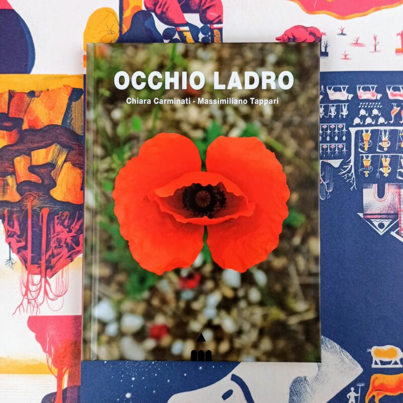 Occhio ladro