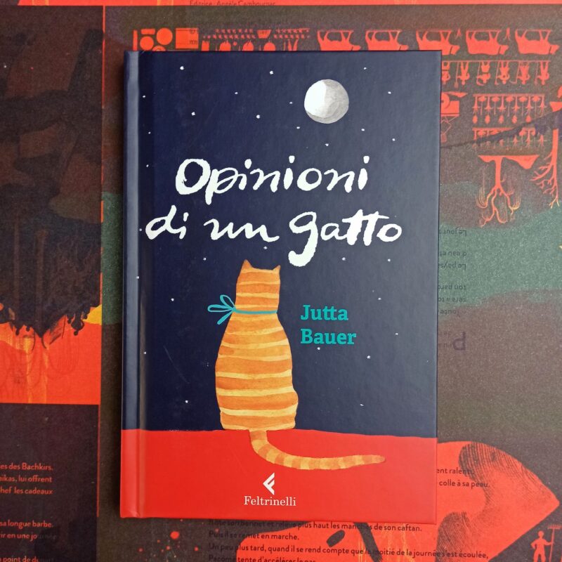 Opinioni di un gatto