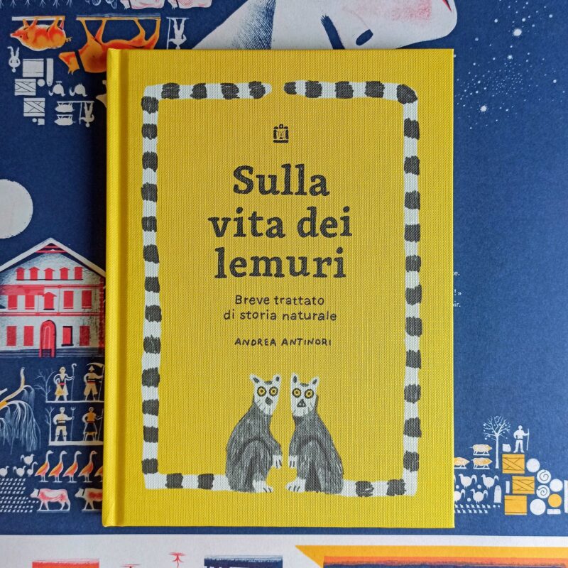 Sulla vita dei lemuri