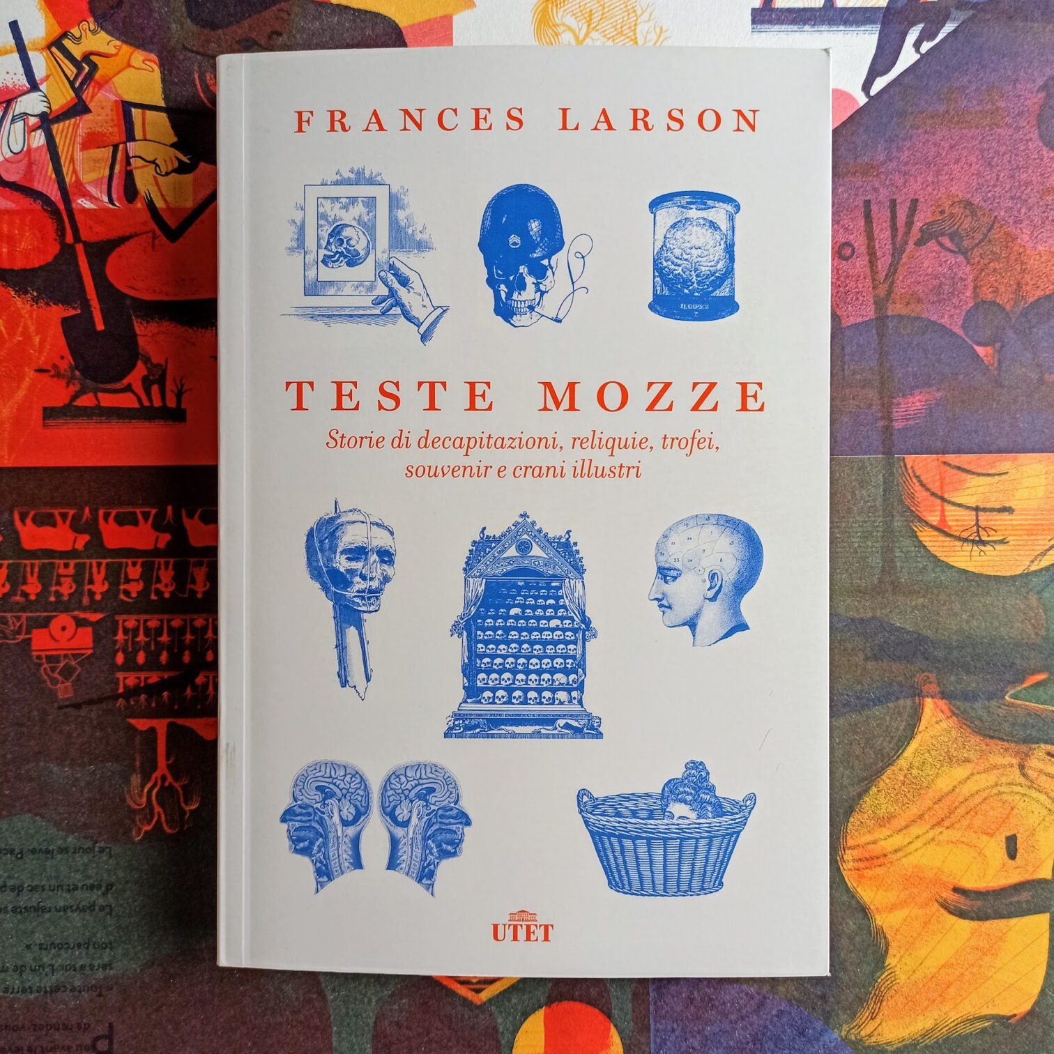 Teste mozze