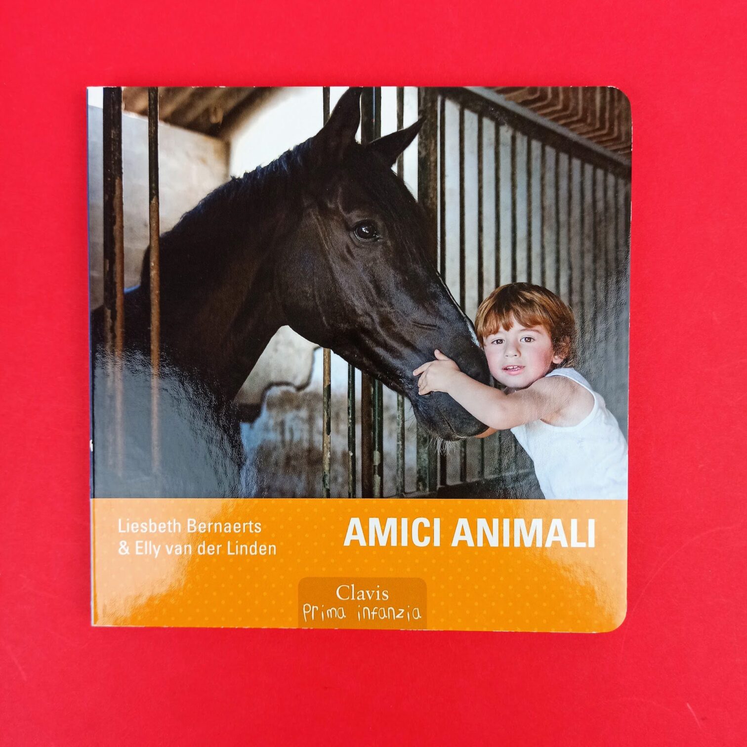 Amici animali