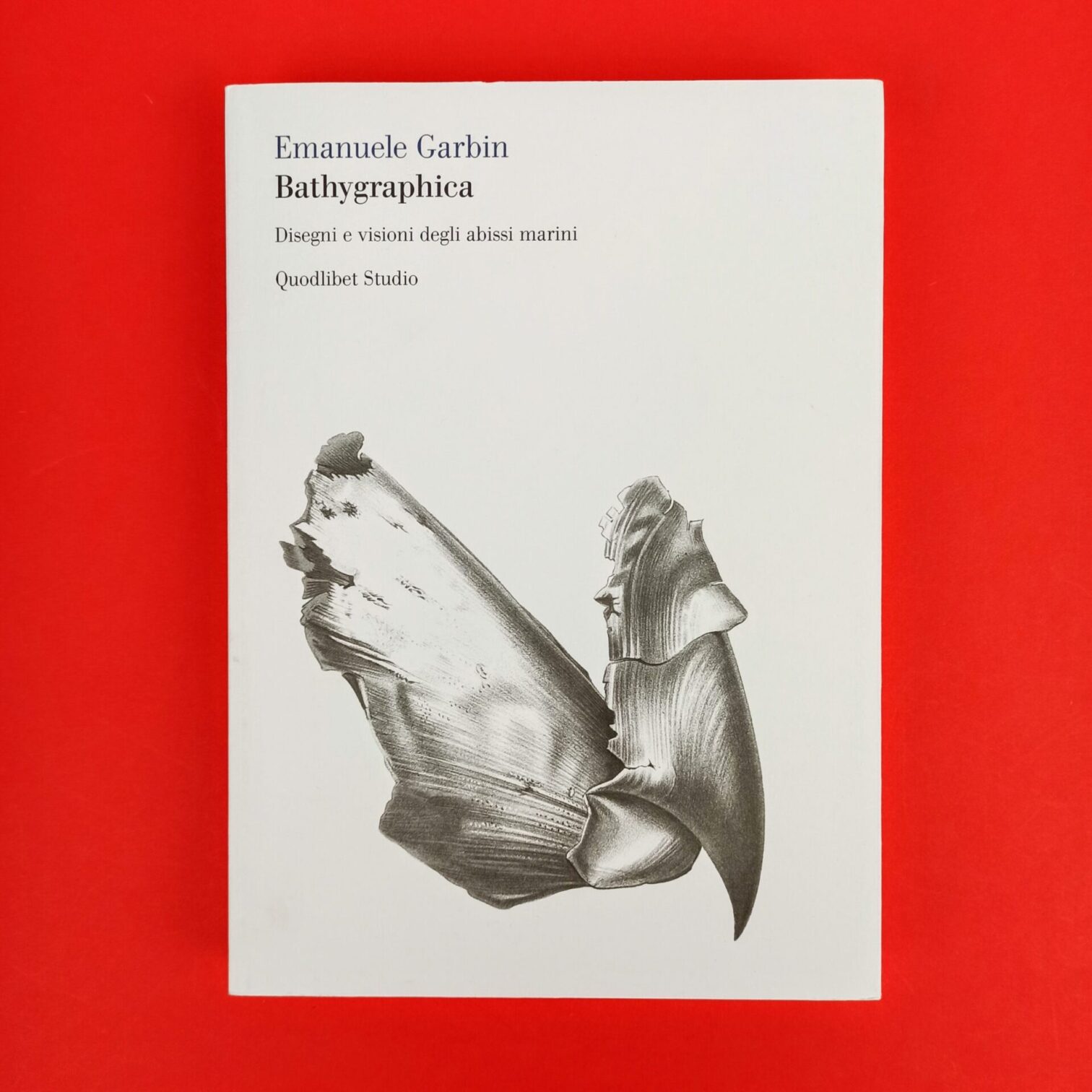 Bathygraphica