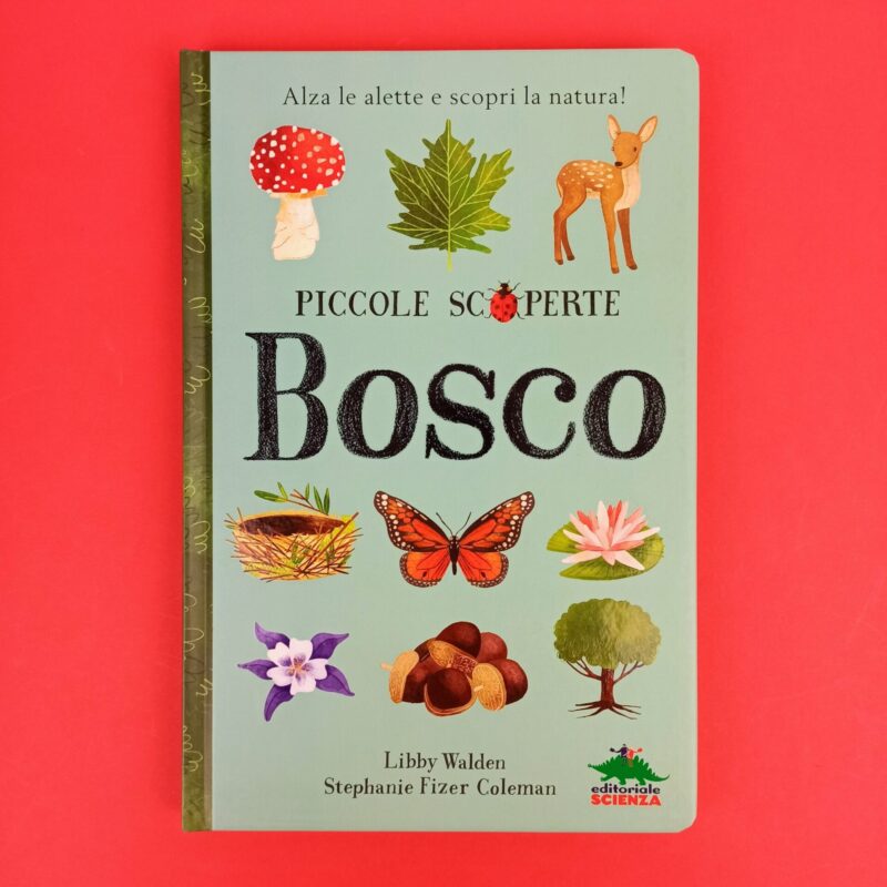 Bosco. Piccole scoperte