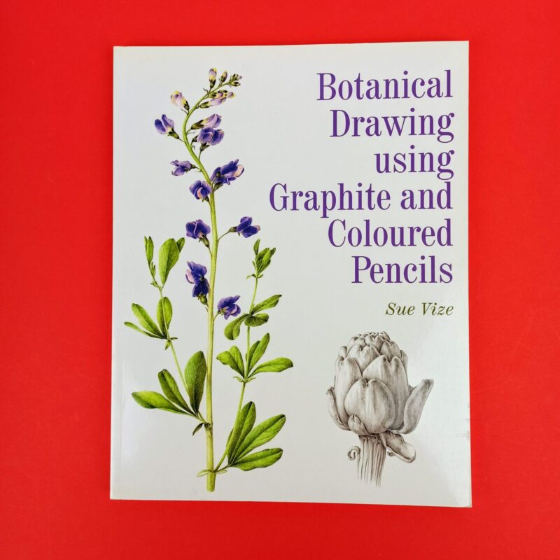 Botanical drawing using graphite and coloured pencils