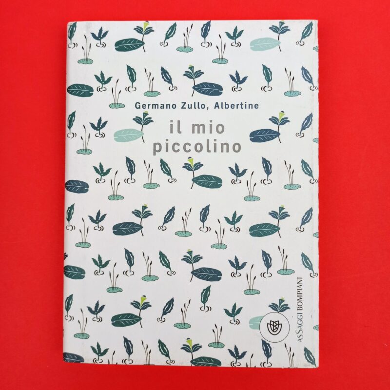 Il mio piccolino