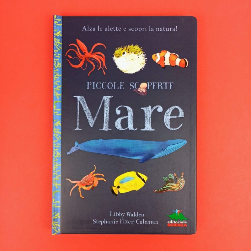 Mare. Piccole scoperte