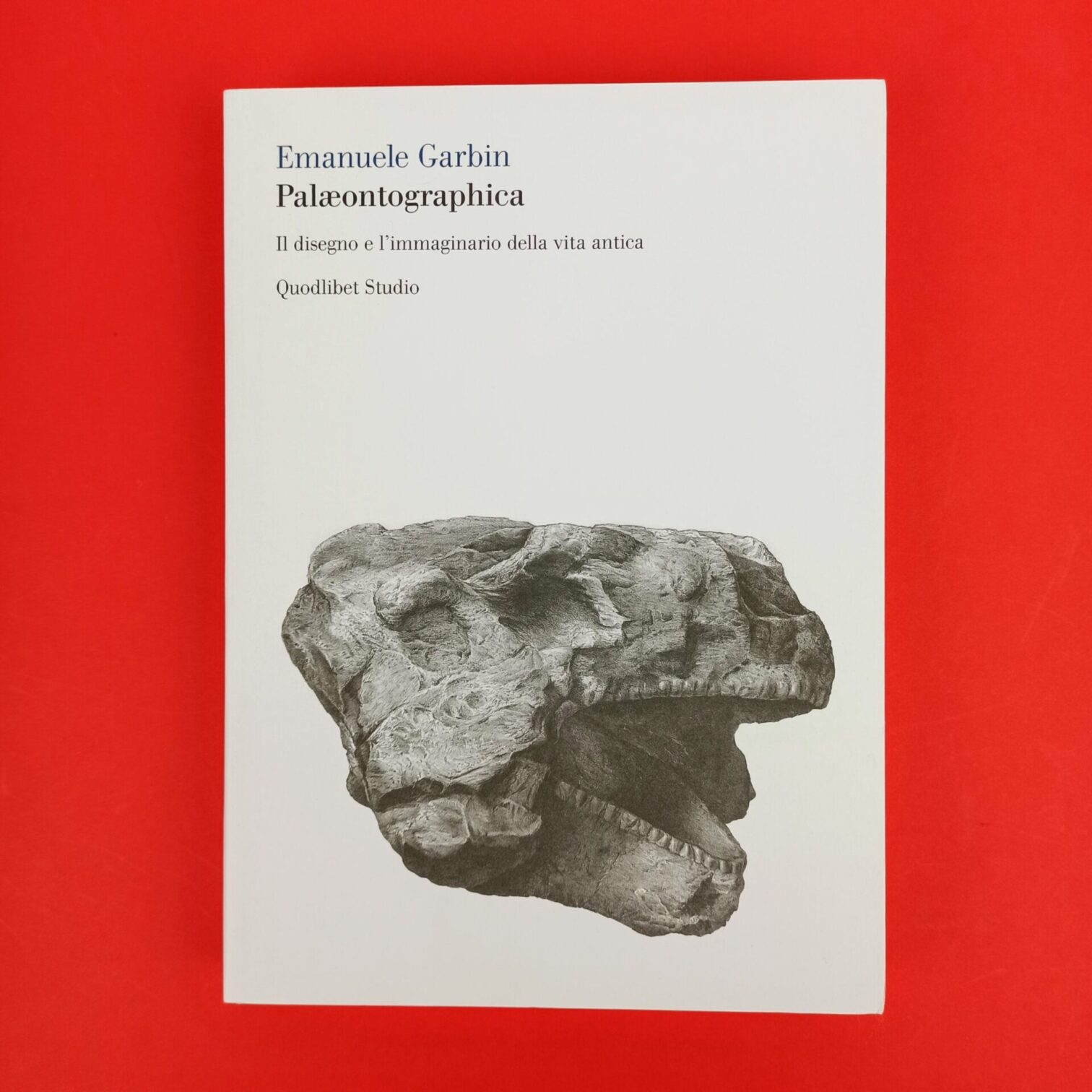 Palaeontographica