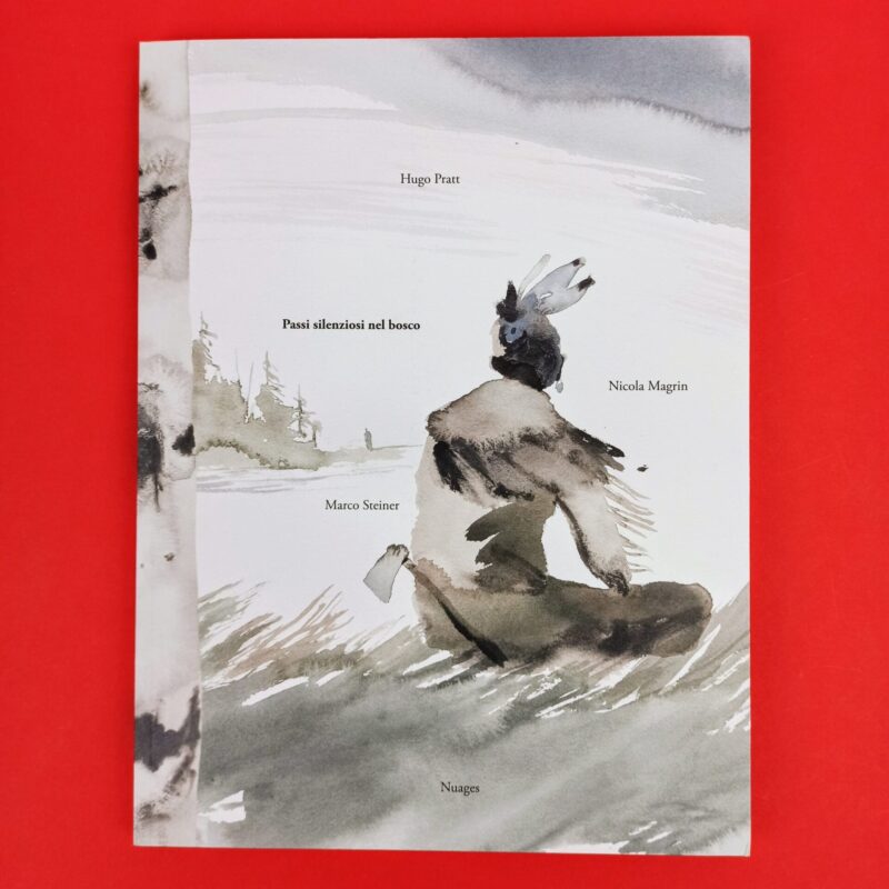 Passi silenziosi nel bosco