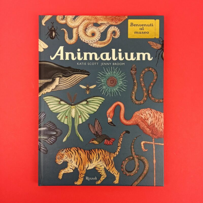 Animalium