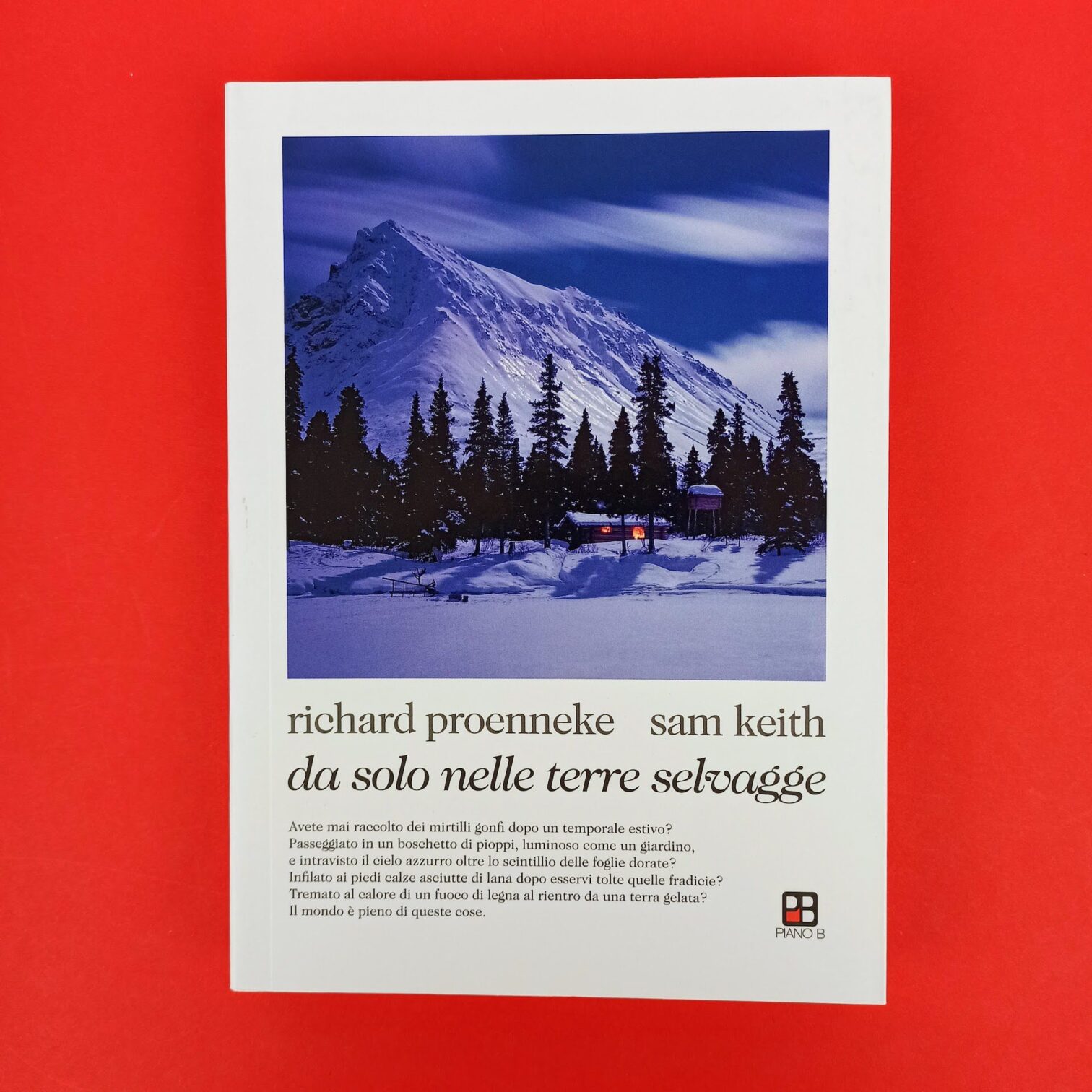 Da solo nelle terre selvagge