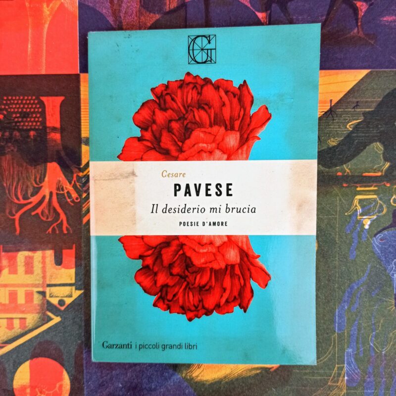 Il desiderio mi brucia. Poesie d’amore