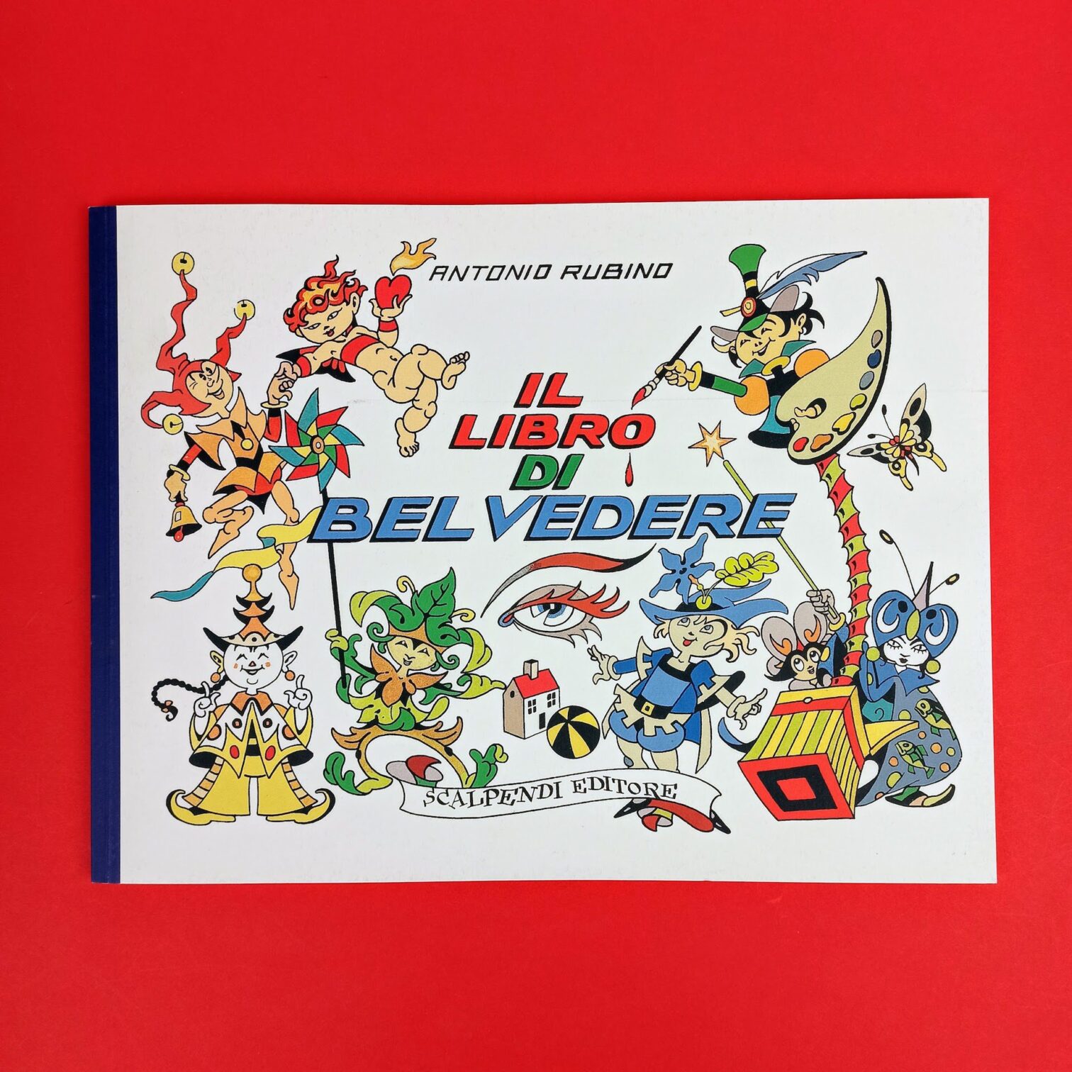 Il libro del Belvedere