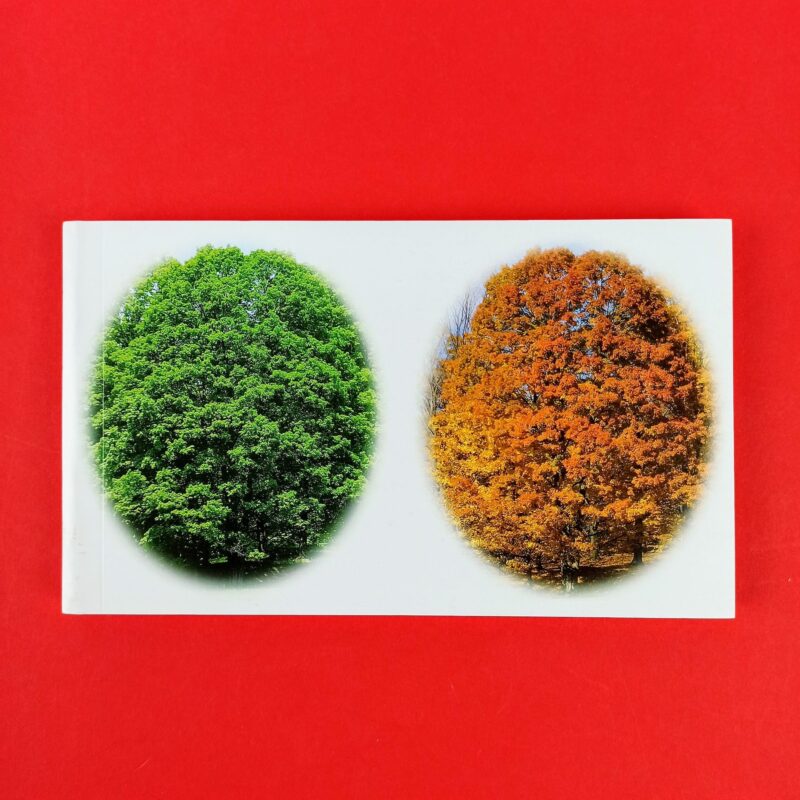 Mr Houghton’s tree