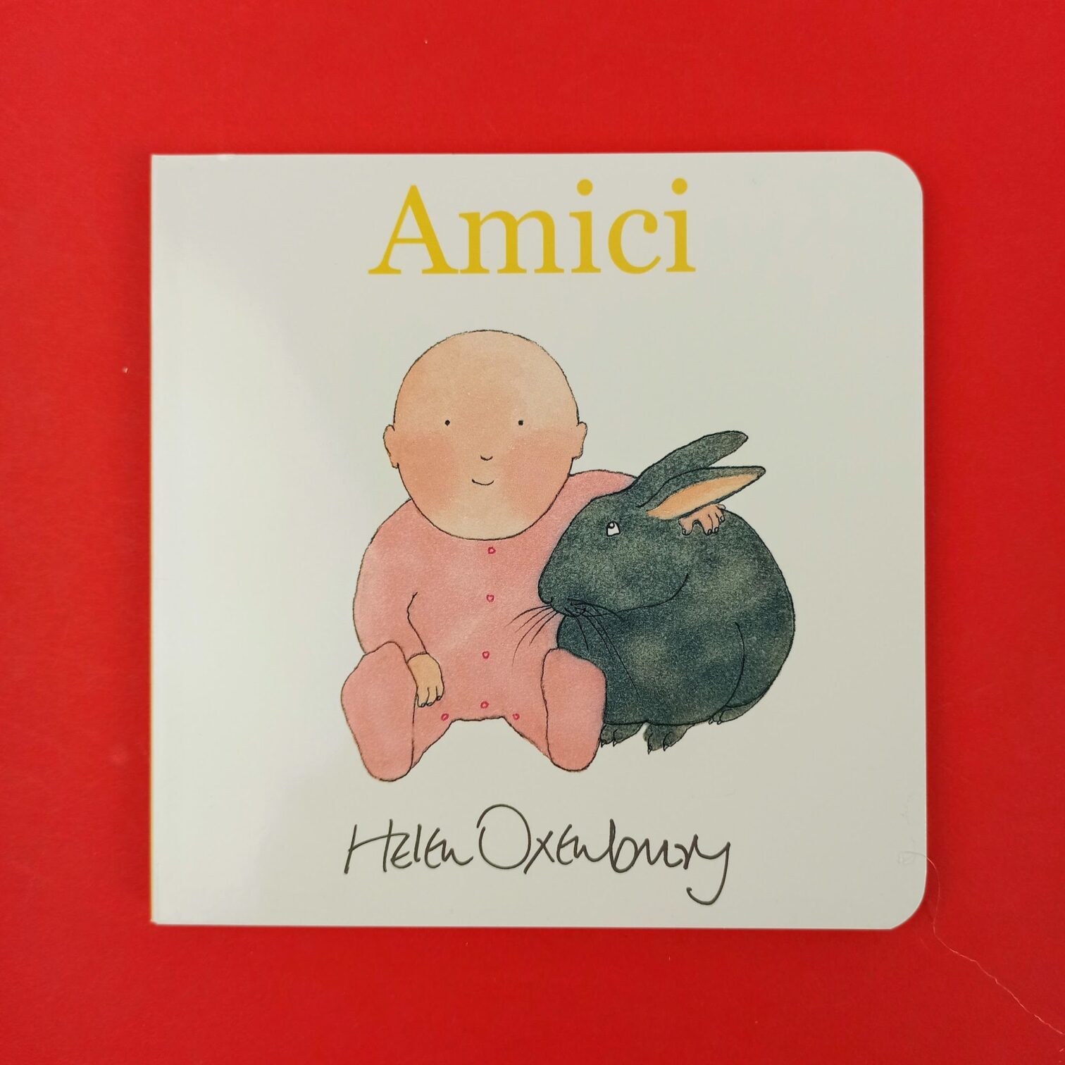 Amici