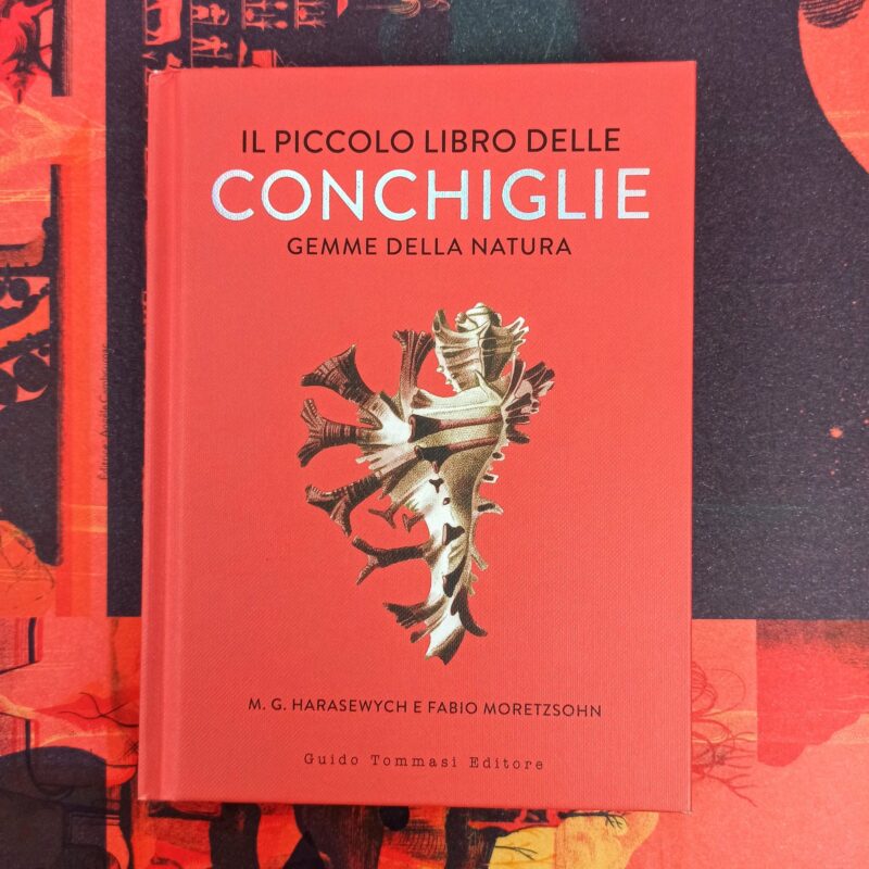 Il piccolo libro delle conchiglie