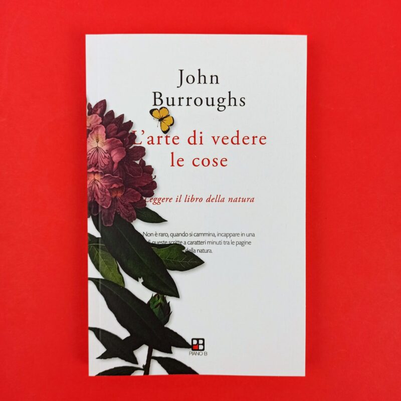 L’arte di vedere le cose