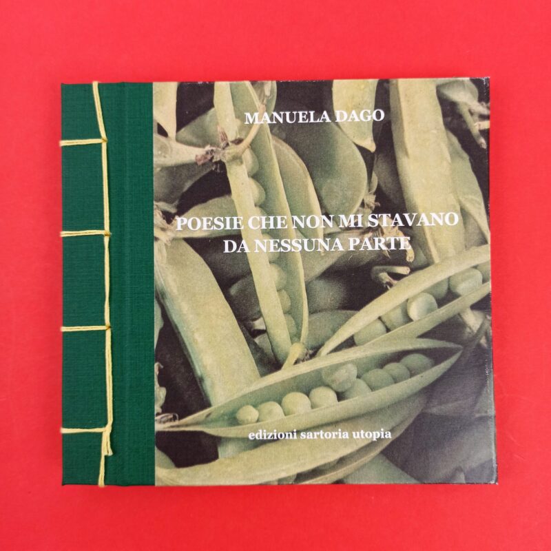 Poesie che non mi stavano da nessuna parte