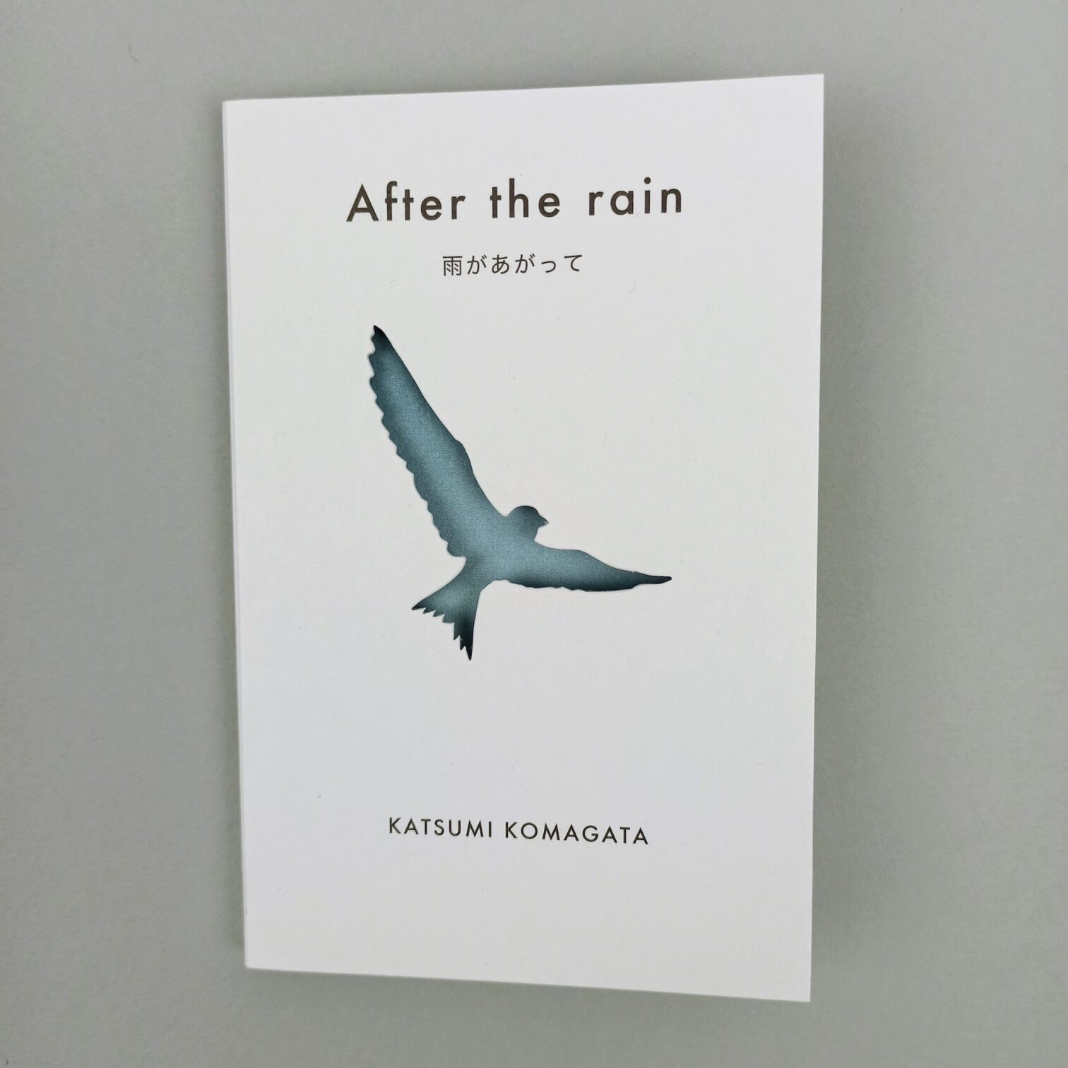 After the rain