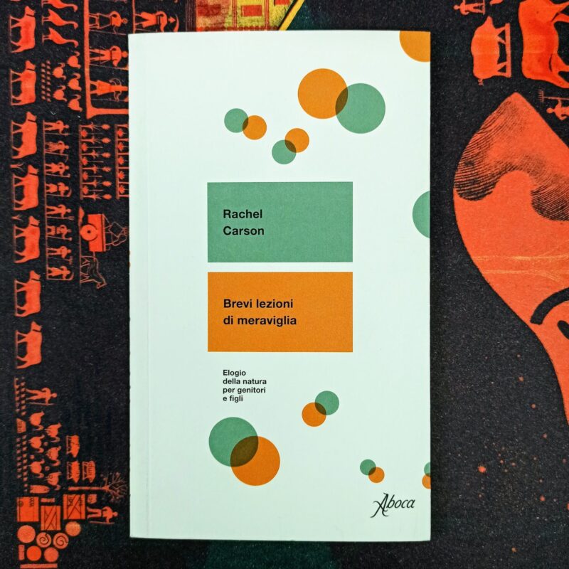 Brevi lezioni di meraviglia