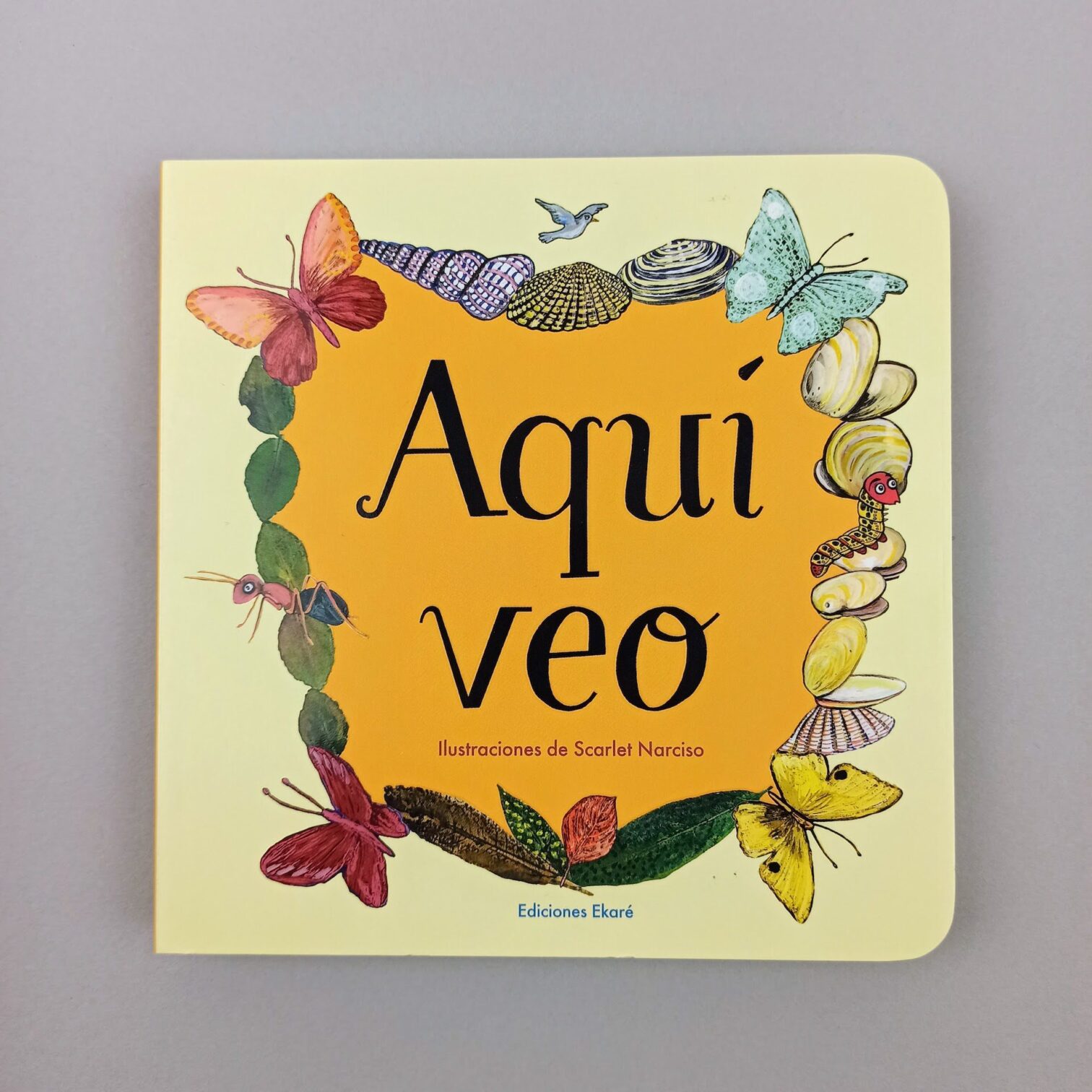Aquí veo