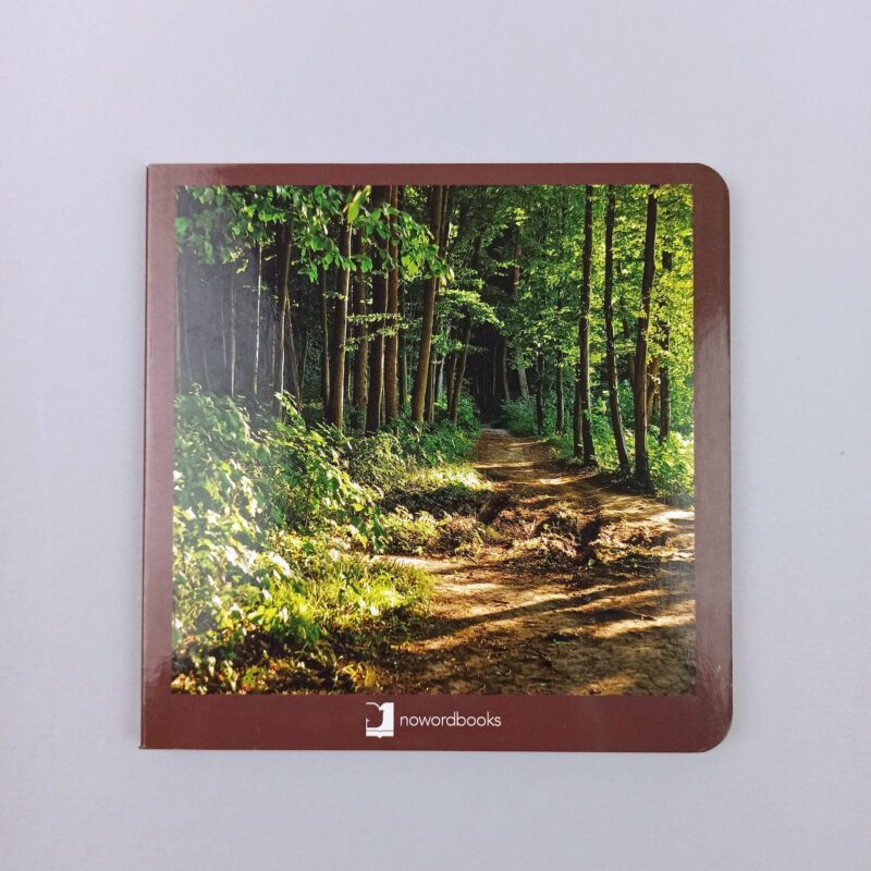 El bosque / The forest