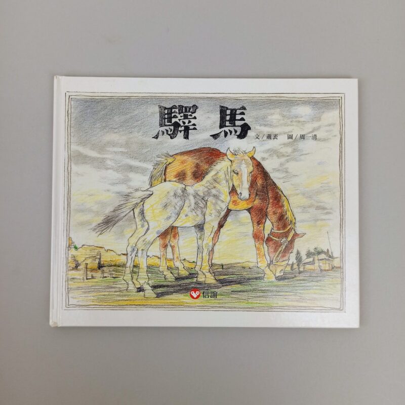 Mercato giungla – cinese taiwanese 7